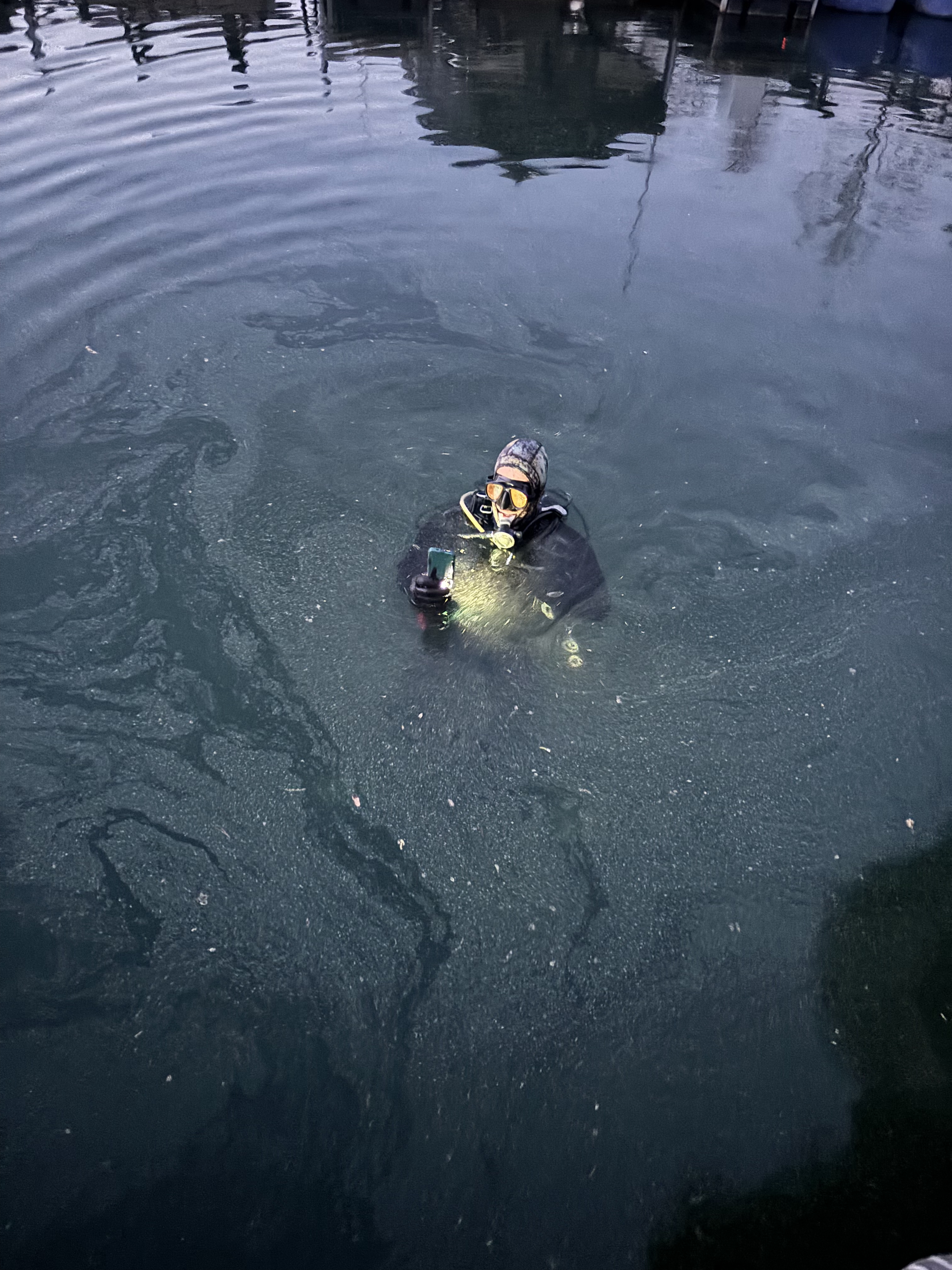 Diver surfacing at a marina with a recovered phone illuminated by dive light